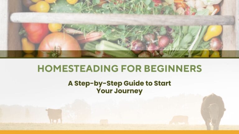 Homesteading for Beginners A Step-by-Step Guide to Start Your Journey (1)